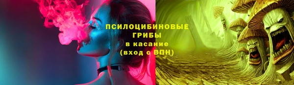 ПСИЛОЦИБИНОВЫЕ ГРИБЫ Покров