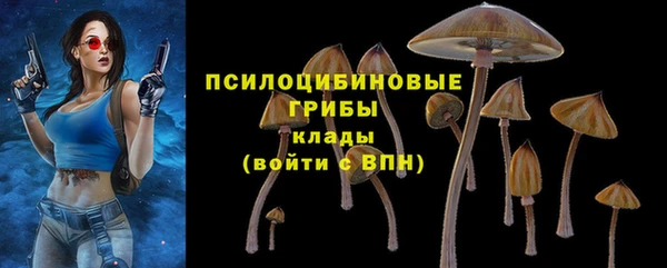 PSILOCYBIN Пестово