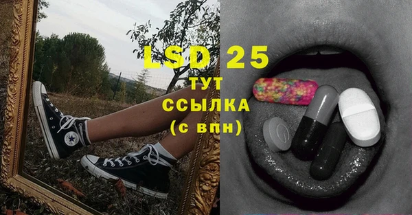 ПСИЛОЦИБИНОВЫЕ ГРИБЫ Покров