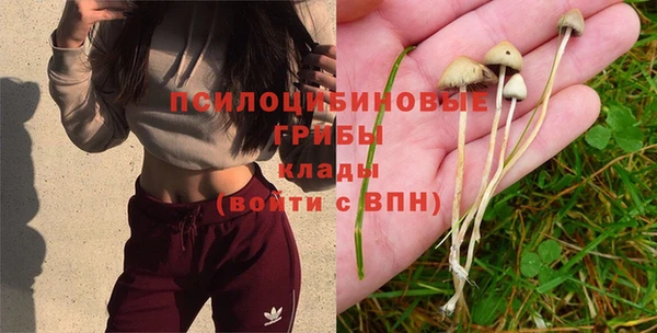 ешки Переславль-Залесский