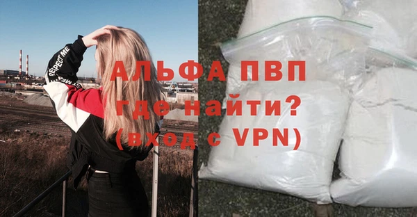 ПСИЛОЦИБИНОВЫЕ ГРИБЫ Покров