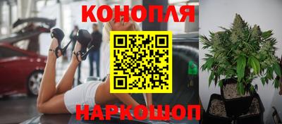 эйфоретик Гусев