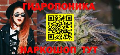 мдпв Гагарин