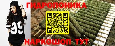 мдпв Гагарин