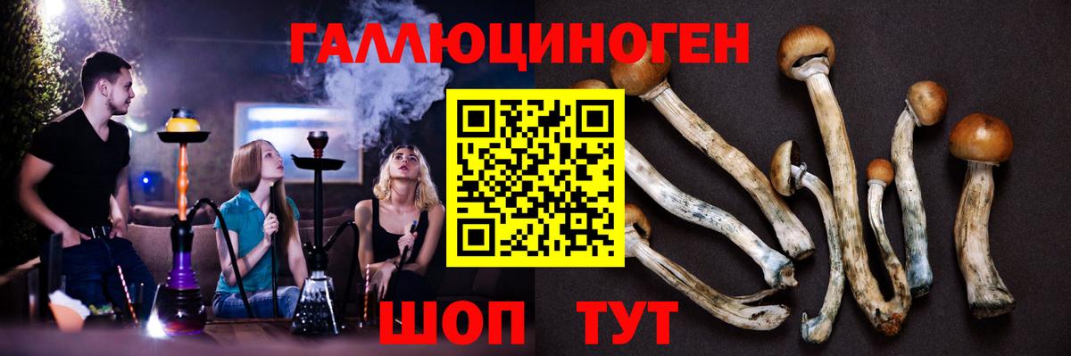 Псилоцибиновые грибы MAGIC MUSHROOMS  Ейск 