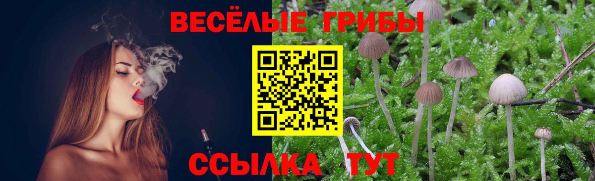 Галлюциногенные грибы MAGIC MUSHROOMS Ейск